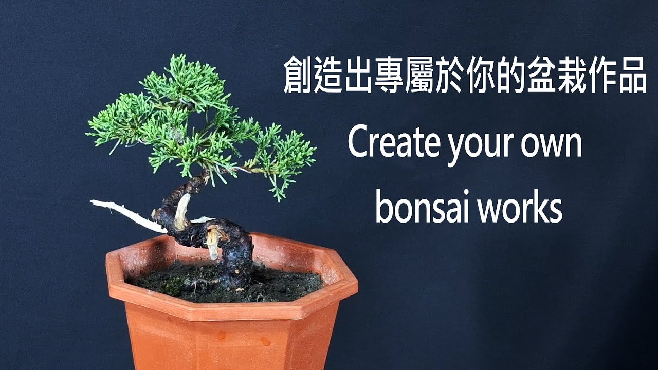 盆栽塑形：打造你的個人風格 Pot Shaping: Create Your Personal Style