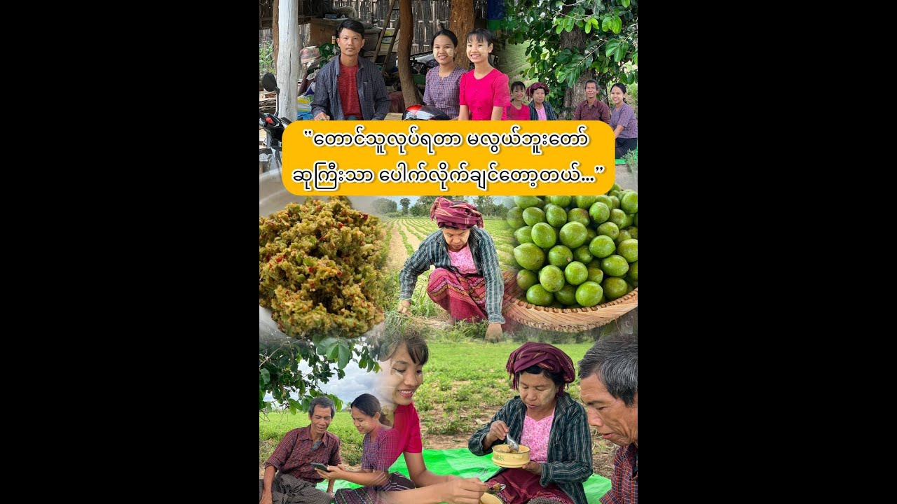 “တောင်သူလုပ်ရတာ မလွယ်ပါဘူးတော်…”
