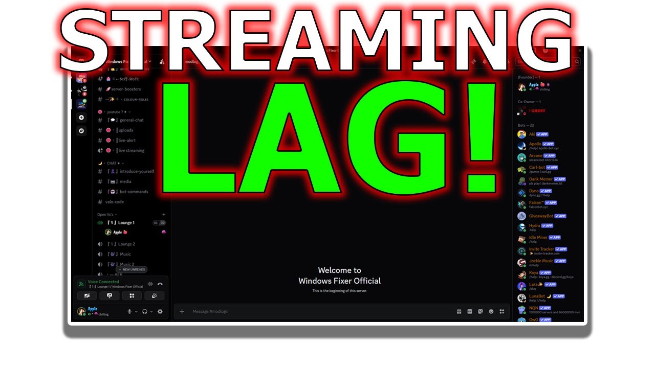 Discord Stream Lag & FPS Drop Fix  Screen Share & Gameplay