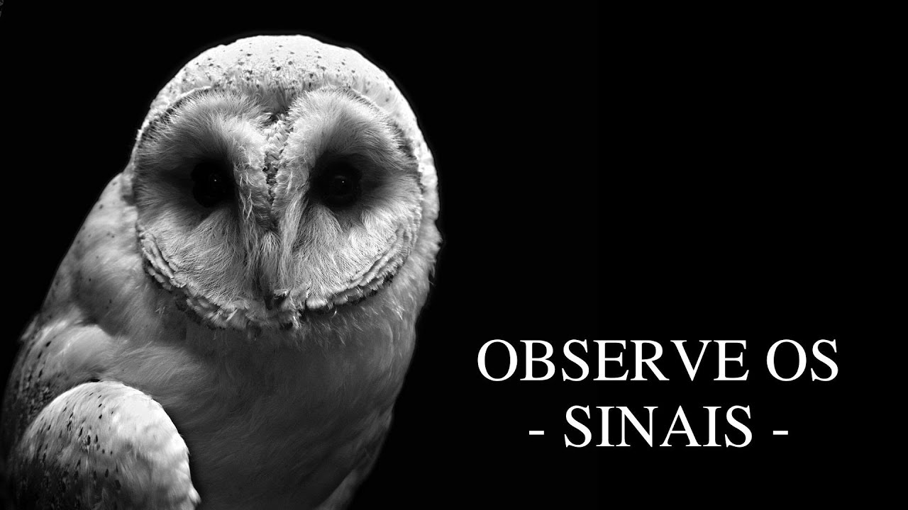 COMO PERCEBER OS SINAIS - Viver Consciente | Denise Mascarenhas