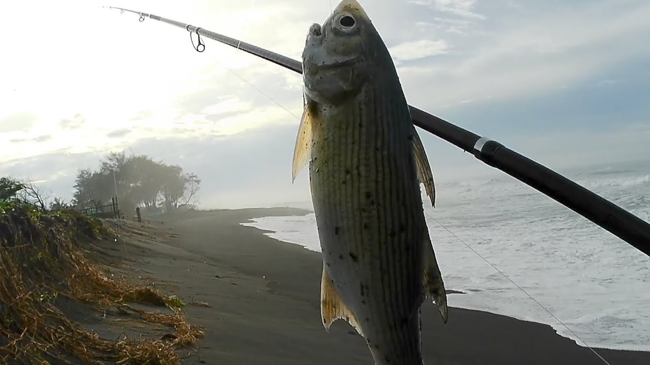 Wauww❗Ombak besar masih ada ikannya ||MANCING PASIRAN