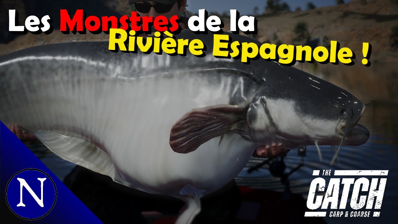 The Catch : Carp and Coarse : Pêche de TROPHEES en  Espagne !