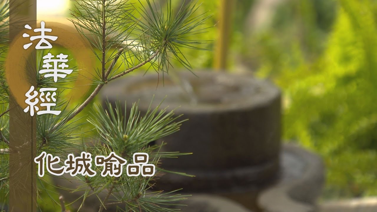 【靜思妙蓮華】法華經化城喻品 - 行因趣果 隨緣化度 - 20211126 第1033集