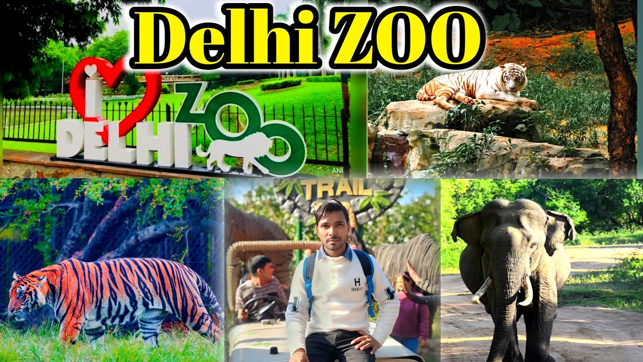 Delhi zoo vlog 2026 | Delhi chidiya ghar Idelhi zoo all animals video 2026 | delhi zoo