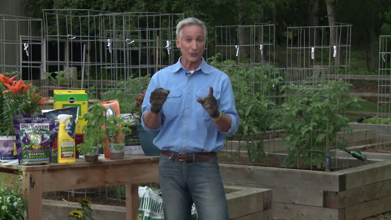 Tomato Gardening with Joe Lamp'l for Garden Therapy