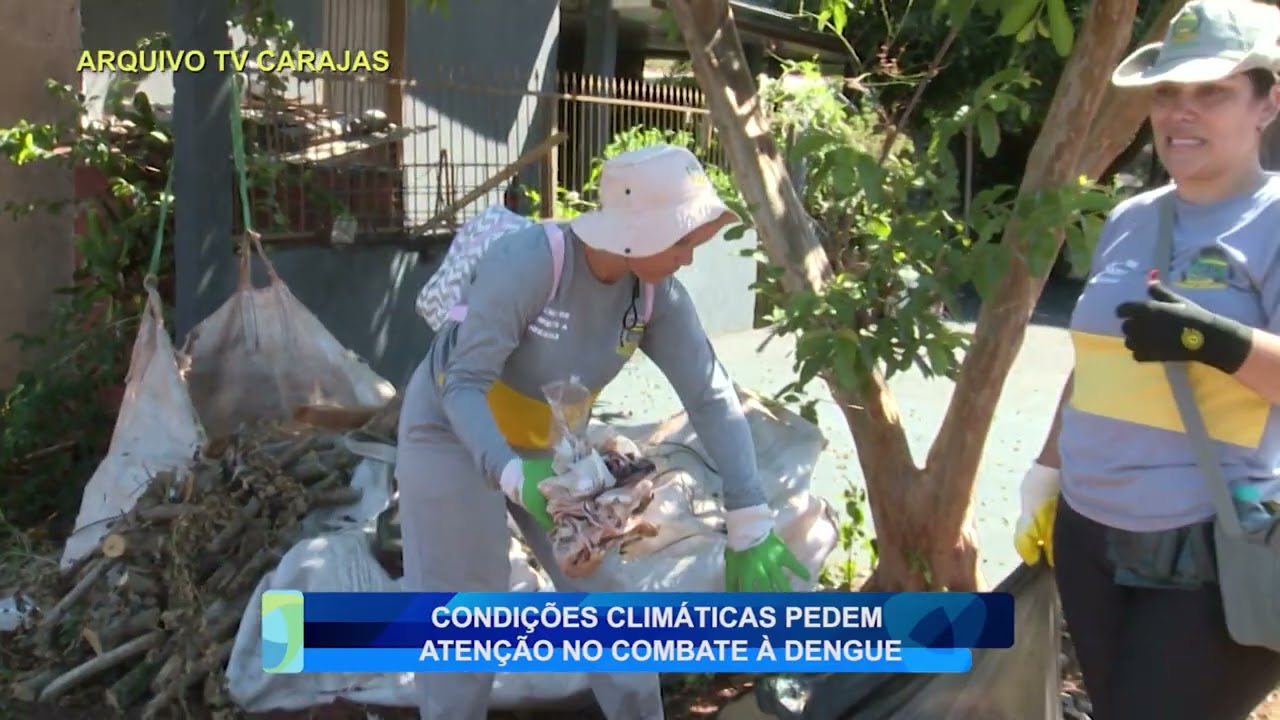 CONDIÇÕES CLIMÁTICAS PEDEM ATENÇÃO NO COMBATE À DENGUE