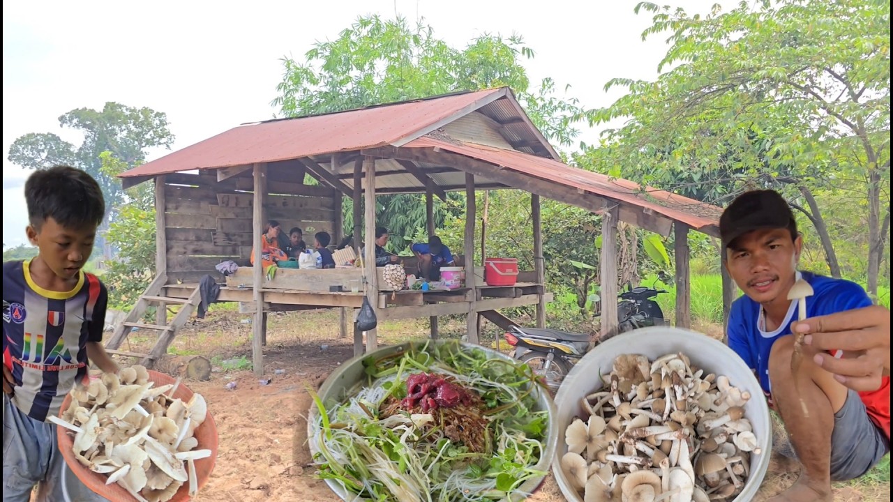 Mushrooms are growing and beef is cooking on a pan.