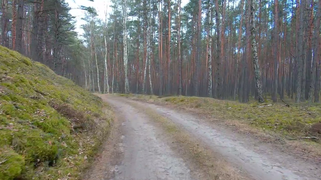 Mierzyn- Lubiatów- Mierzyn 06