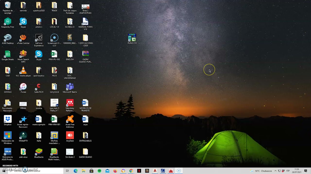 Software Punis