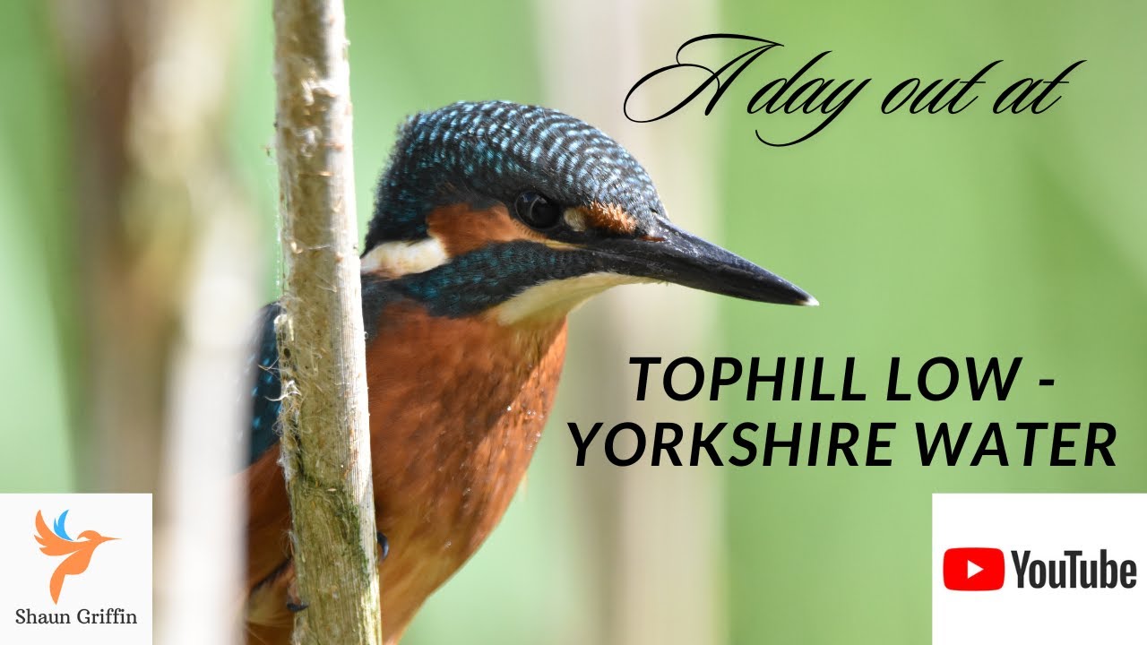 Tophill Low - Yorkshire Water (Aug 24)