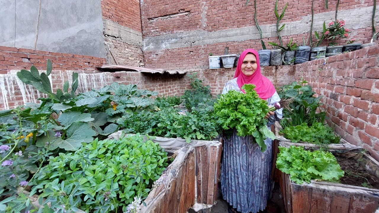 باركو لمحمود ابنى على الجيم الجديد وتخفيضات خاصة لمشاهدين القناة وكمان احلى روتين على السطح