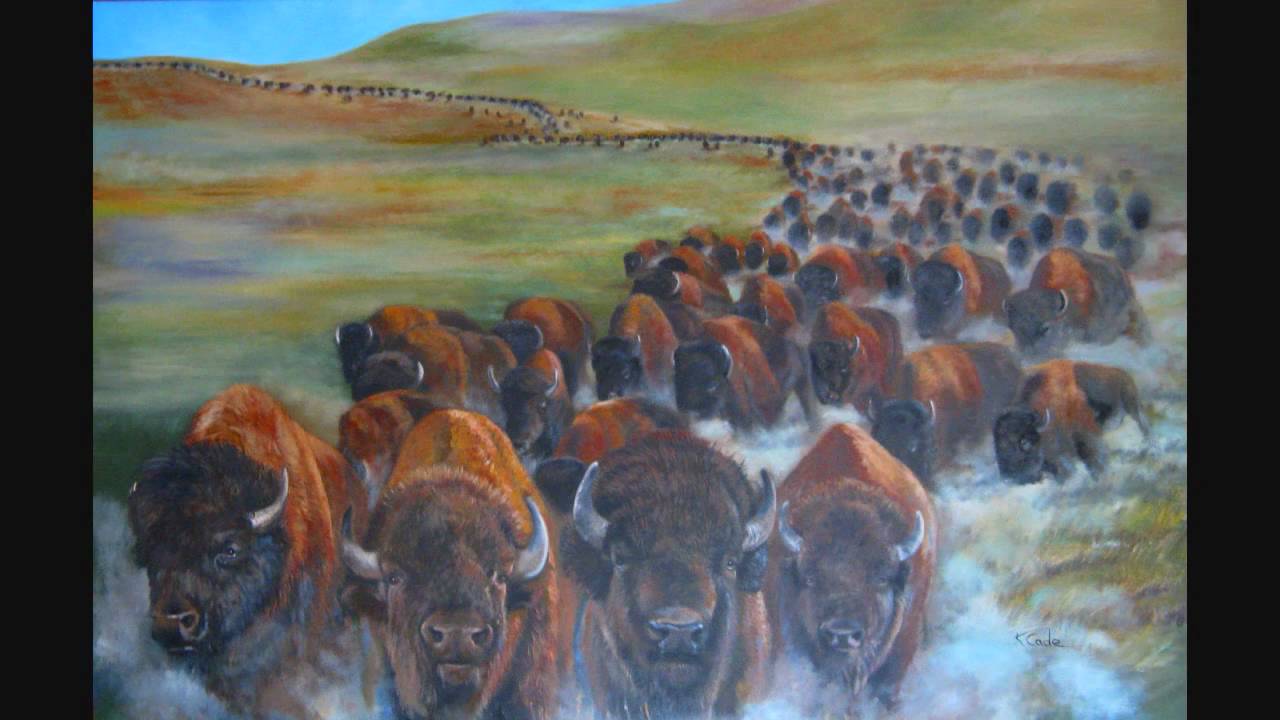 Thunder Across the Plains - Brule & AIRO