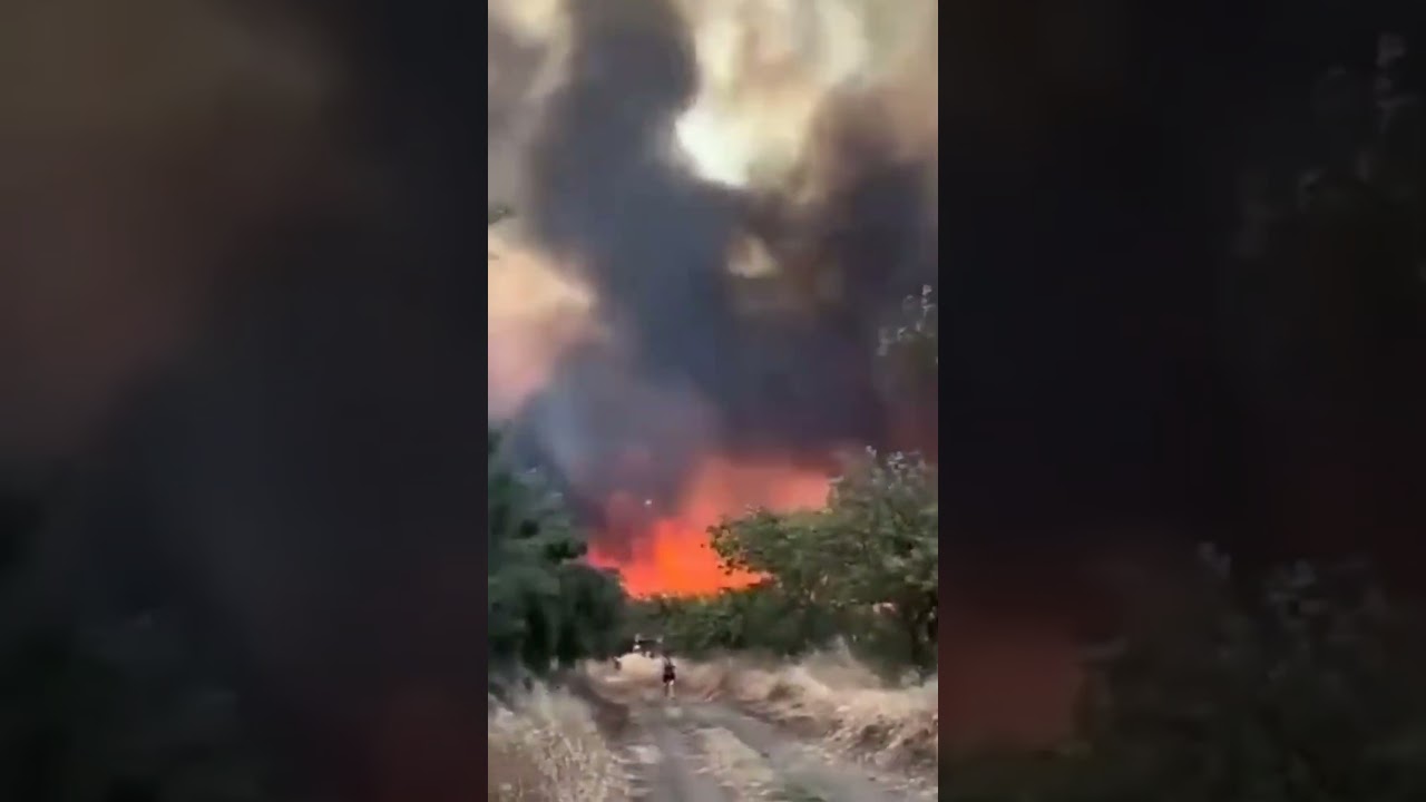 A forest fire broke out in Şark&ouml;y, Tekirdağ, Turkey 🇹🇷 (15.07.2025)