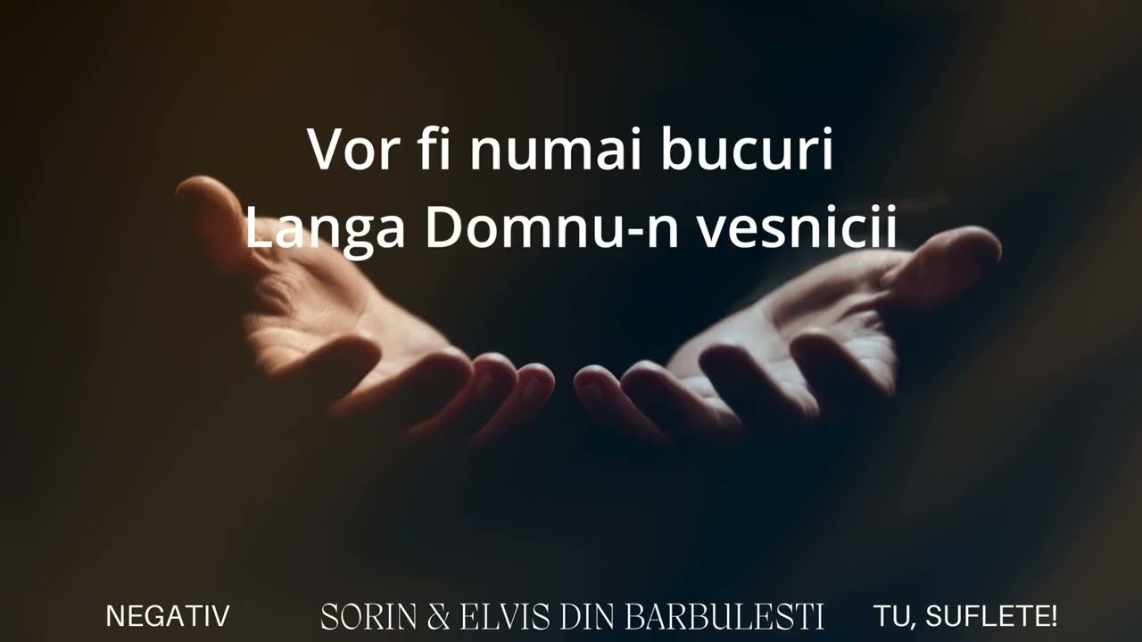 Negativ crestin–Tu, suflete! (Plansul tau)-Instrumental–Sorin&Elvis din Barbulesti | Muzica Domnului