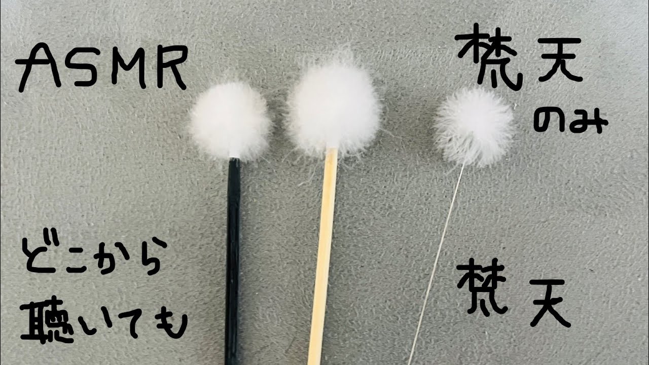 【ASMR】梵天好きさんのための梵天耳かき/Ear Cleaning【梵天のみ】