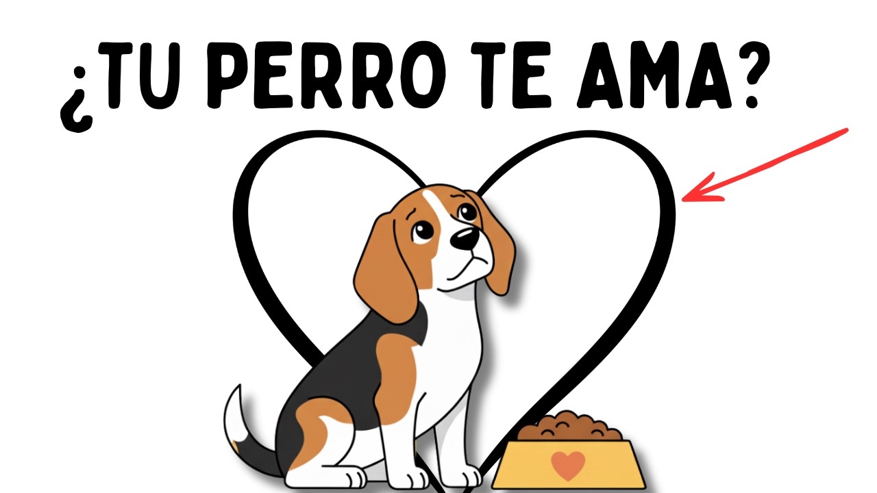 ¿Amor Puro o Comida? Lo que la CIENCIA dice sobre tu PERRO