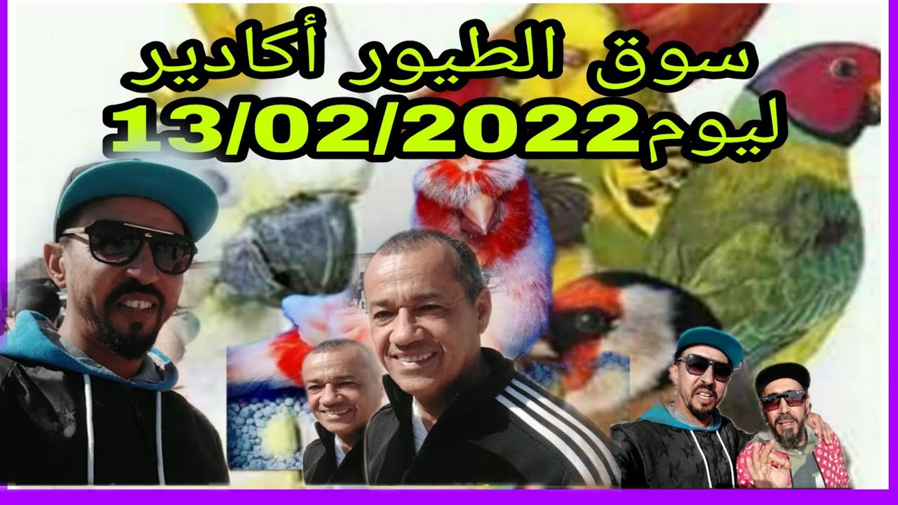 سوق الطيور أكادير +لقاء مع ناشط جمعوي
