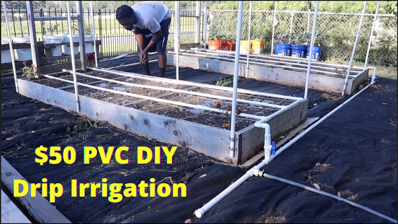 How to Build PVC Drip Irrigation System for Under $50! Step by Step Process any BEGINNER can do! P7