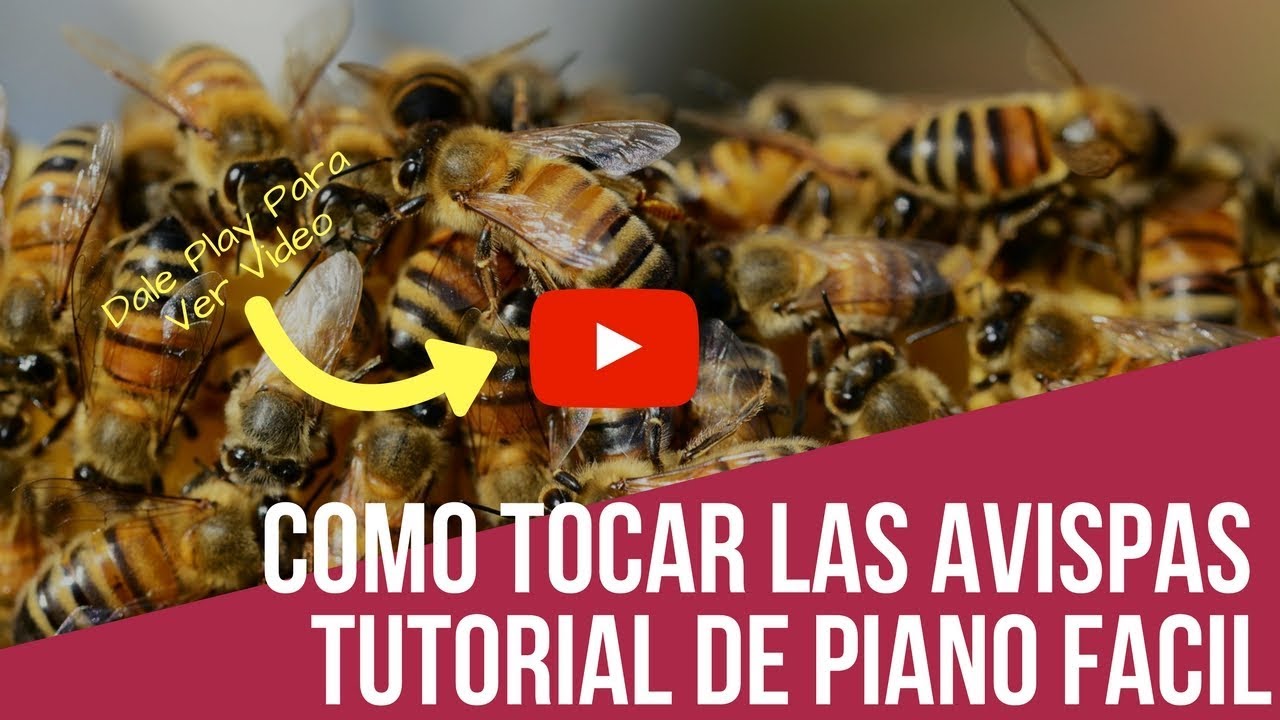 como tocar la avispas de juan luis guerra tutorial de piano facil