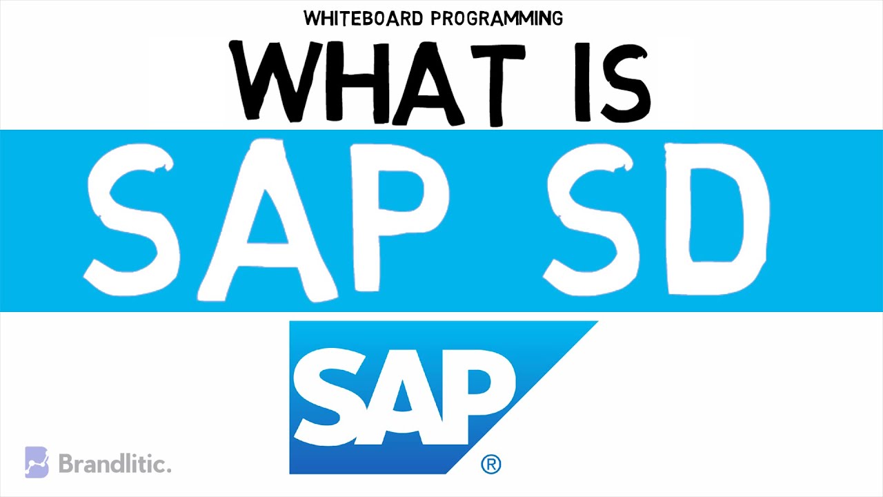Что такое SAP SD? Введение в основы SAP SD