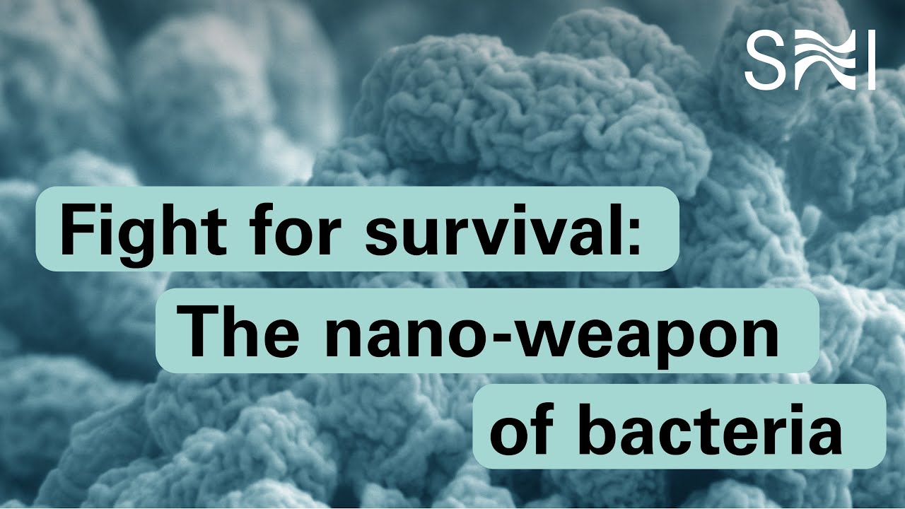 Fight for Survival: The nano-weapon of bacteria