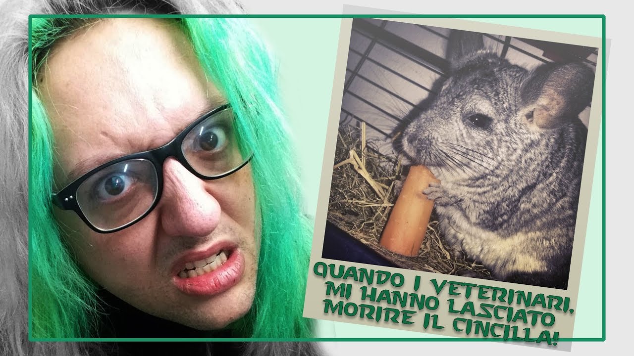 [AstroSfogo] Quando i Veterinari, mi hanno lasciato morire il cincilla!