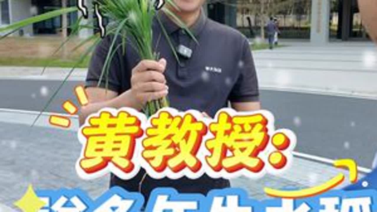 黄教授“奇思”：多年生稻能北渡长江吗？#华大集团 #多年生水稻 #华大万物
