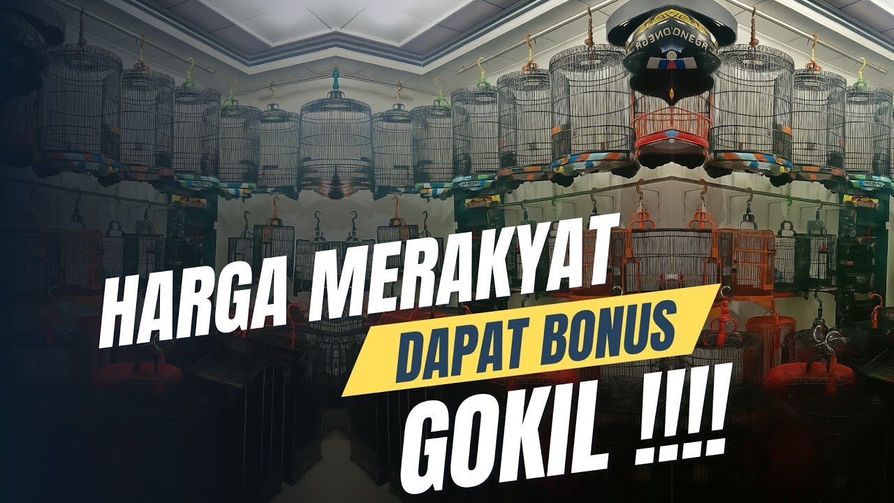 SANGKAR MEWAH, HARGA MERAKYAT?! BONUSNYA BIKIN KAGET!