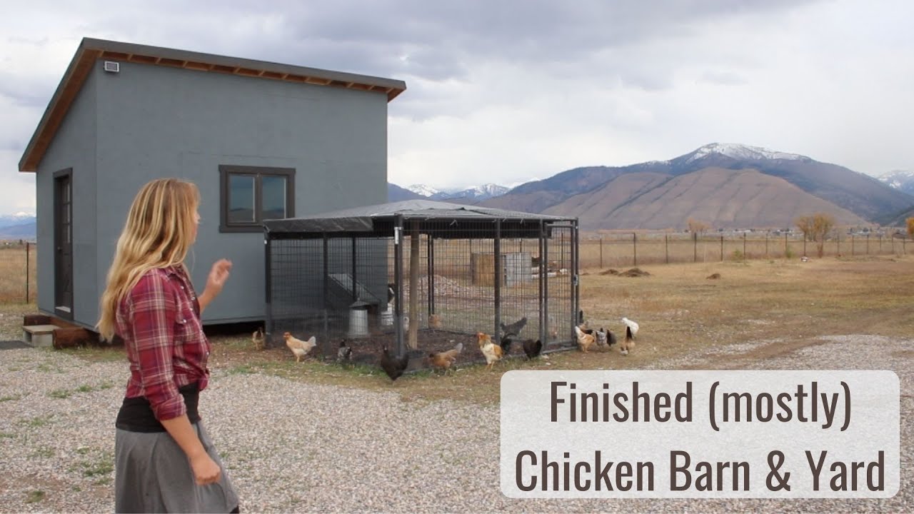 Finished (mostly) Chicken Barn and Yard - Predator Proofing and How Everything Works