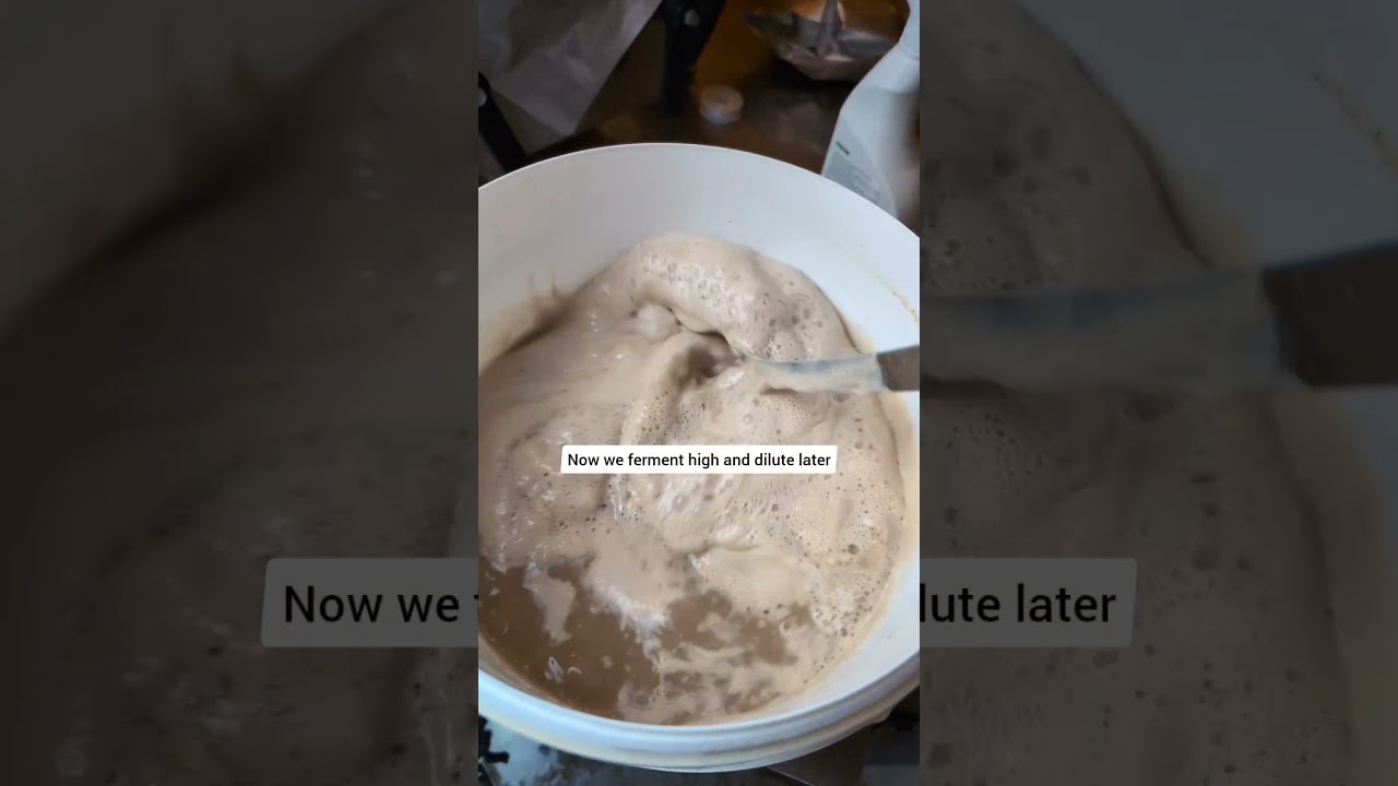 Making Traditional Mead