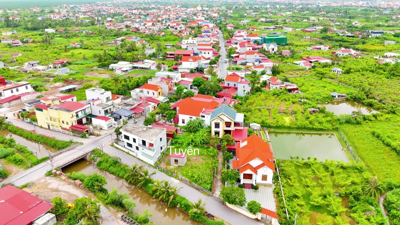 Cận cảnh 1 làng quê táo bàng la sắp ra hoa @EdGuinevere @catbabomultiverse ​