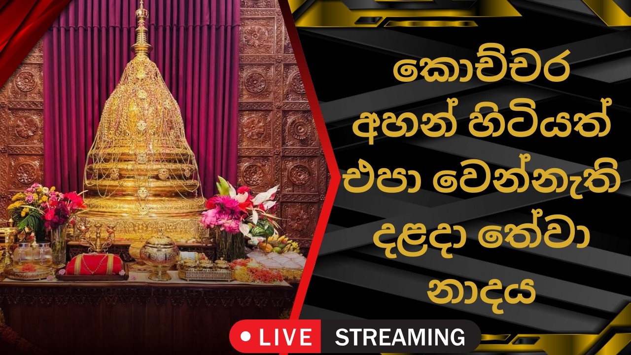 හදවත පිරිසිදු කරන නාදය/ දළදා මාලිගාවේ සවස් තේවා හේවිසි – 🎵 SIRI DALADA THEWA HEVISI NADAYA #shorts