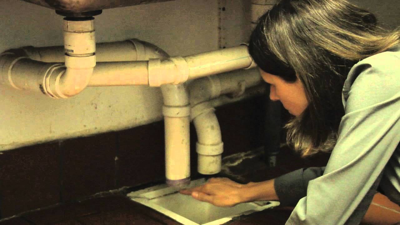 Health Inspection Coach training video