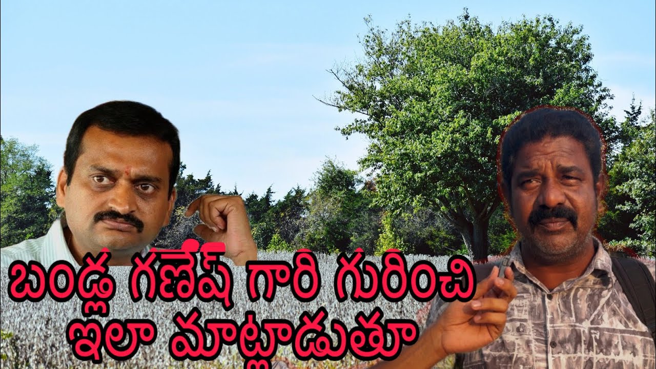 బండ్ల గణేష్ గారి గురించి ఇలా మాట్లాడుతూ #bandlaganesh #senamedia #politicalnews #janasena #tdp 💥💥💥