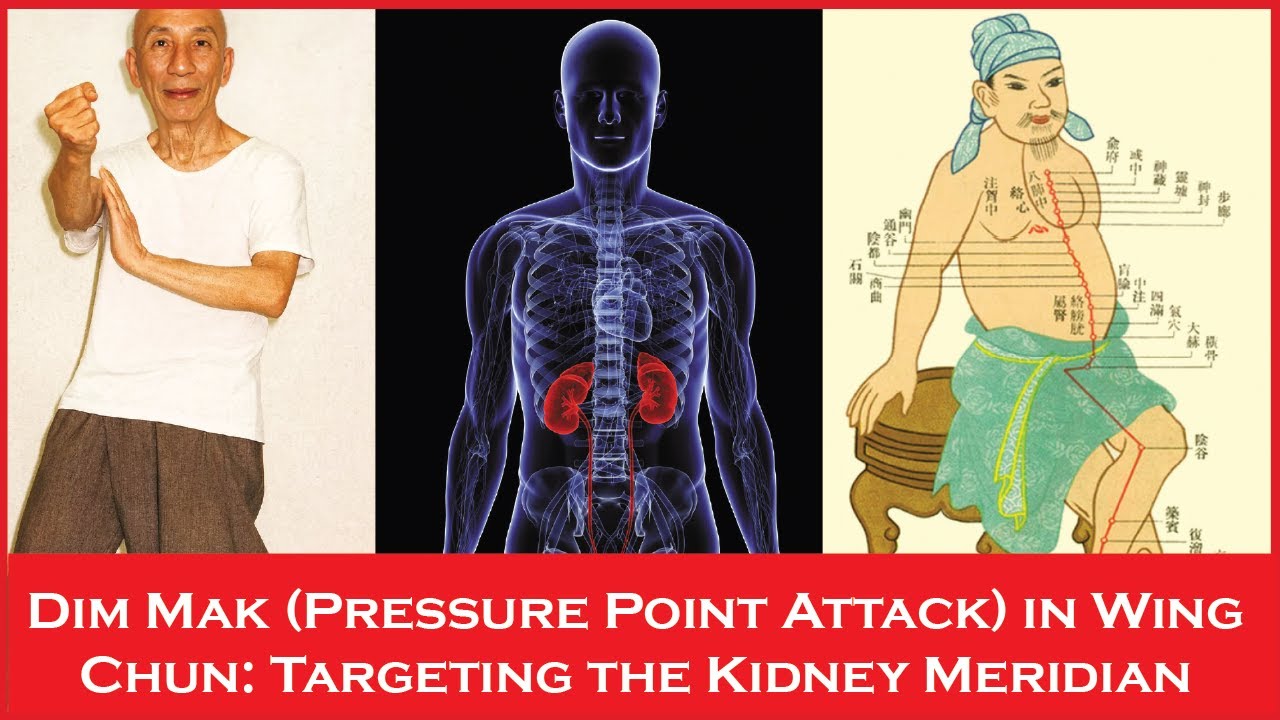 Dim Mak (Pressure Point Attack) in Wing Chun: Targeting the Kidney Meridian.