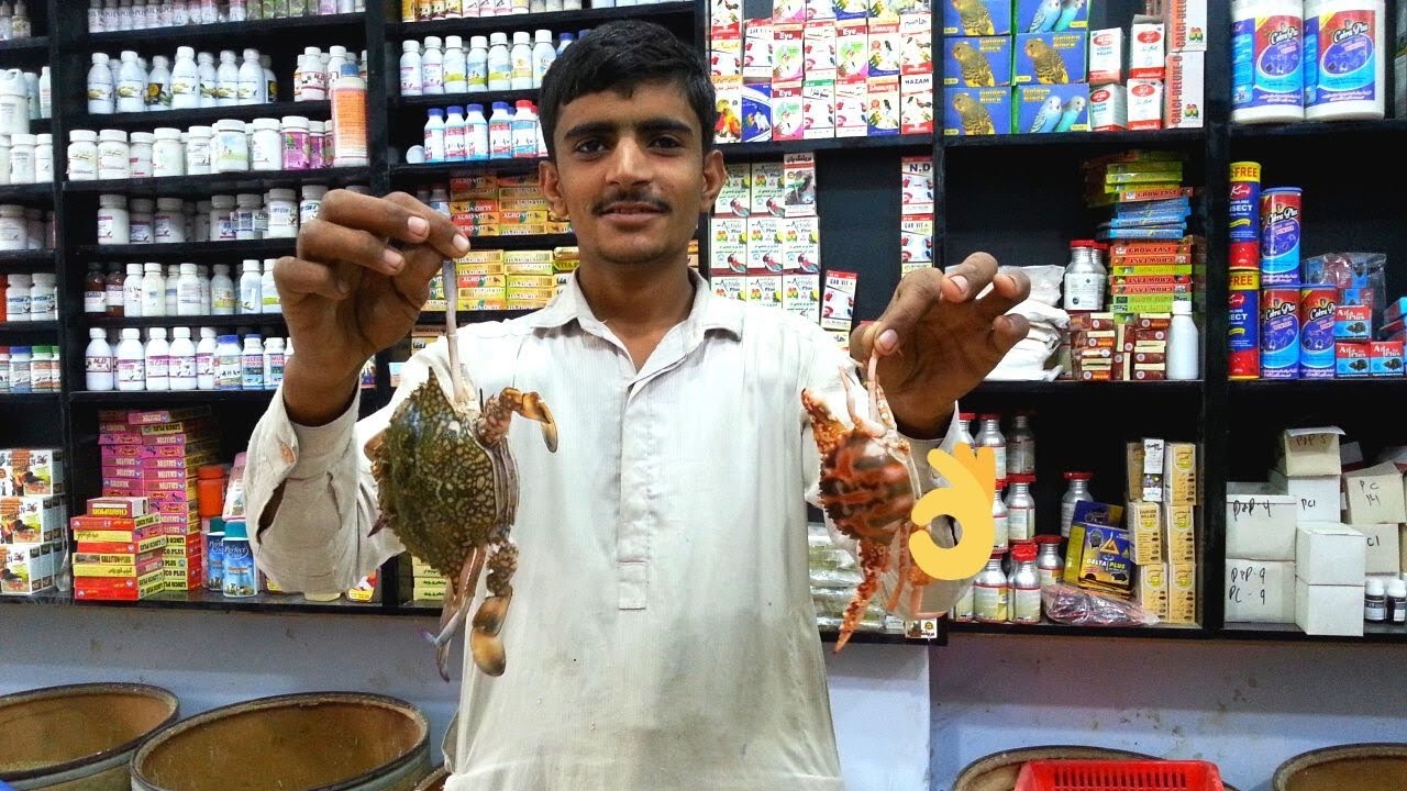 Pets Medicine & Breeding Formula Shop in Karachi