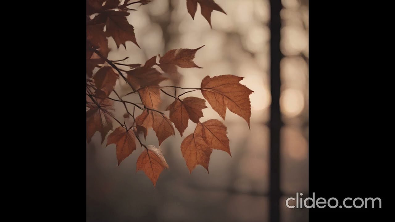 Autumn Leaves Fall Quiet