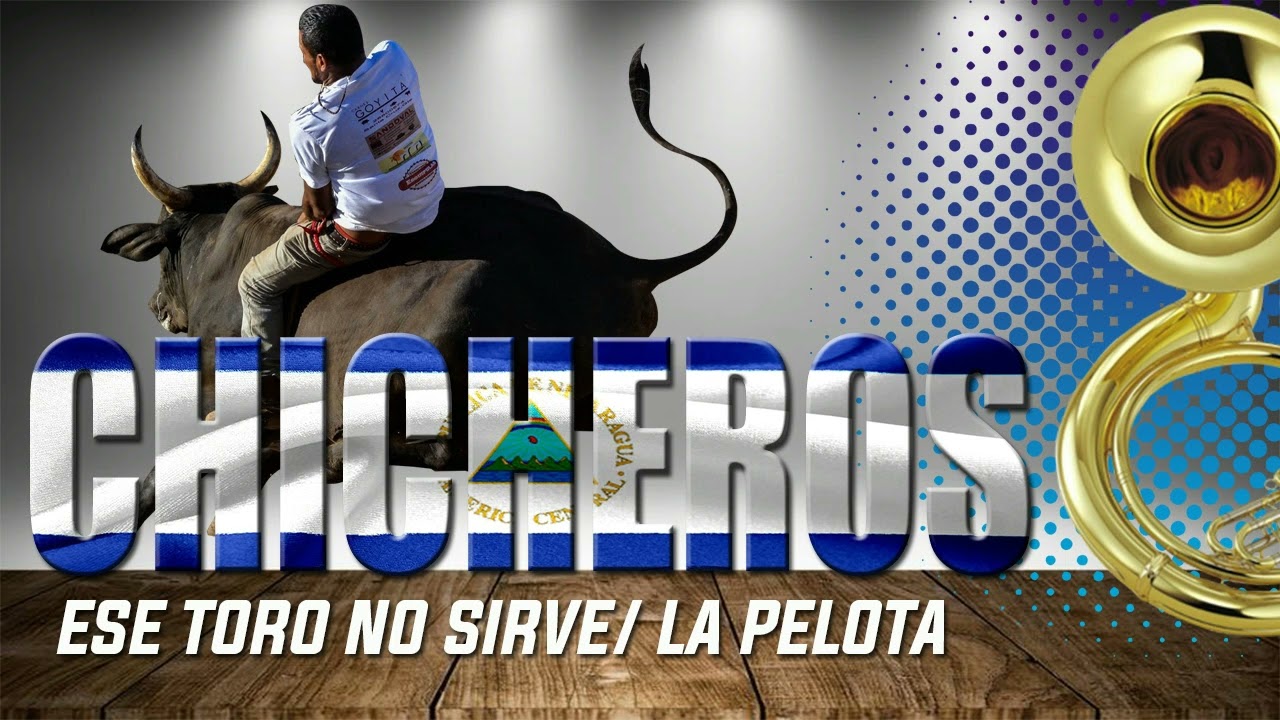 CHICHEROS ESE TORO NO SIRVE LA PELOTA TRADICIONAL