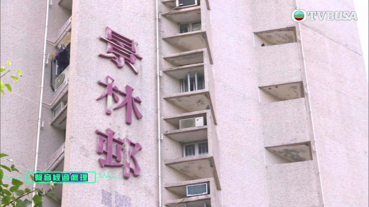 東張西望｜景林邨觀音廟香火鼎盛 為居民帶來滋擾