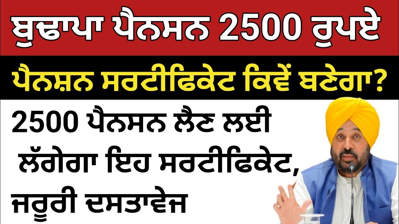 Punjab budapa pension news 2026,big annoucment punjab government 
