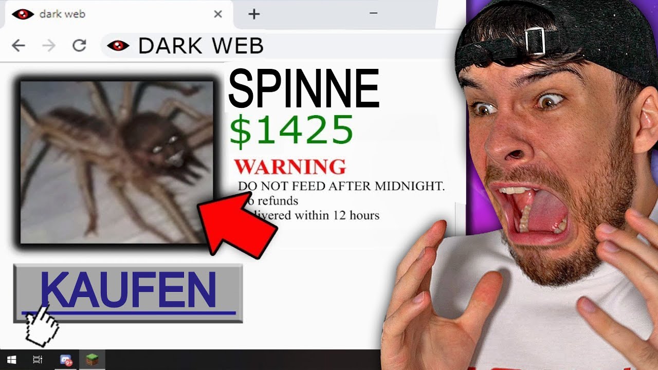 kaufe NIEMALS diese SPINNE im DARK WEB.. (GEFÄHRLICH)