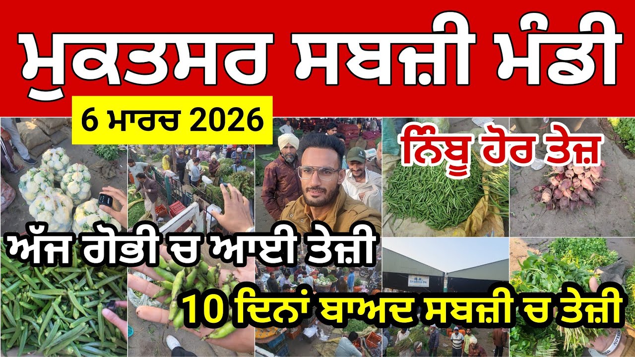 ਗੋਭੀ ਚ ਤੇਜ਼ੀ ਆਉਣੀ ਸ਼ੁਰੂ। 10 ਦਿਨ ਬਾਅਦ ਹੋਵੇਗੀ ਸਬਜ਼ੀ ਸਾਰੀ ਤੇਜ਼। ਮੁਕਤਸਰ ਸਬਜ਼ੀ ਮੰਡੀ। Muktsar Sabji Mandi