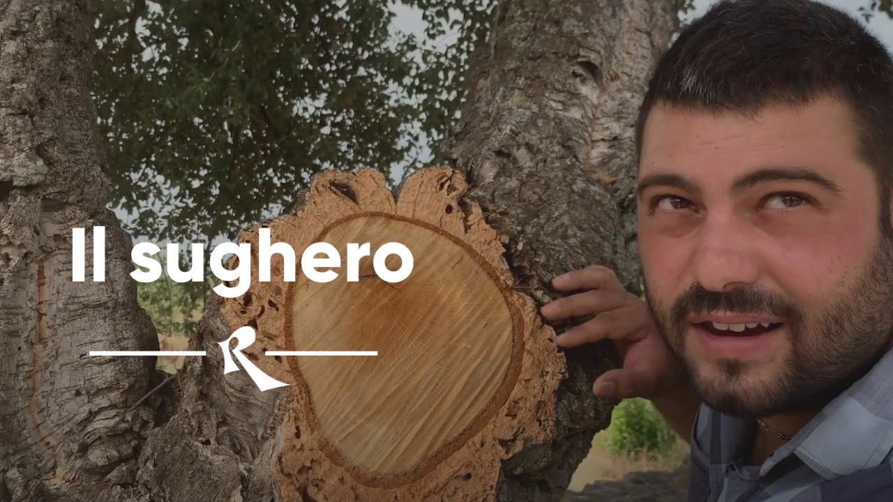 Il sughero - Simone Sedilesu di Vike Vike ci racconta da dove viene