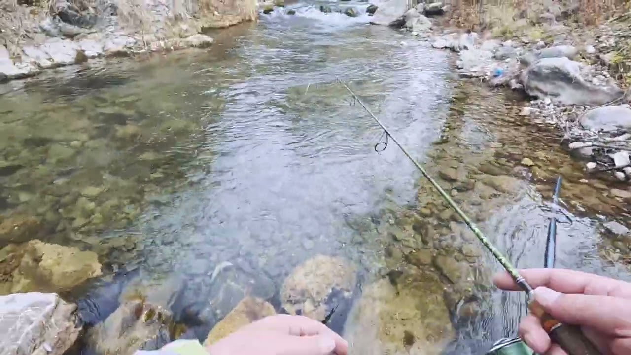 Безрыбье и тест на воде спиннинга Norikura Dr. Boron Bourne Trek Palm IN Grip Spin 48XUL Minimum.