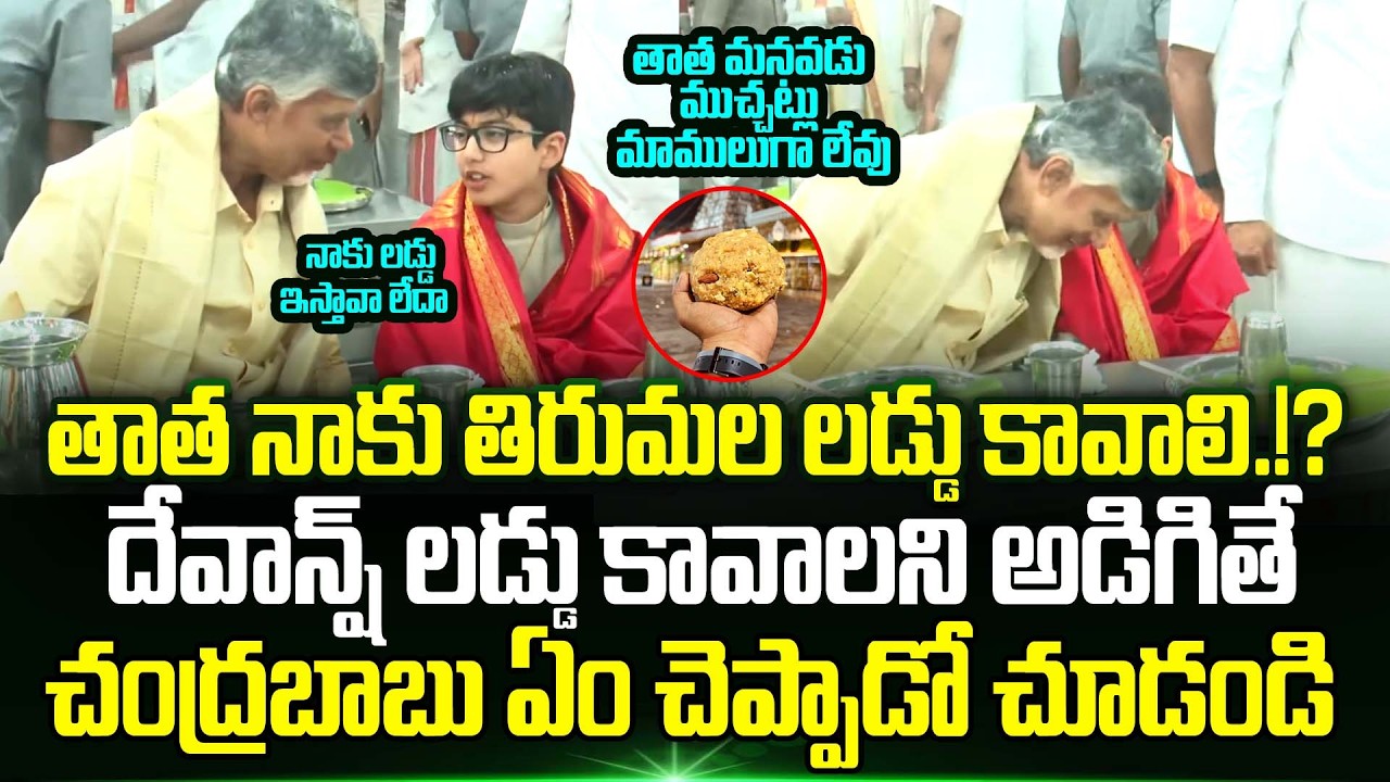 తాత నాకు లడ్డు కావాలి.!? Tirumala Laddu కావాలని అడిగితే Chandrababu ఏం చెప్పాడో చూడండి | Trending