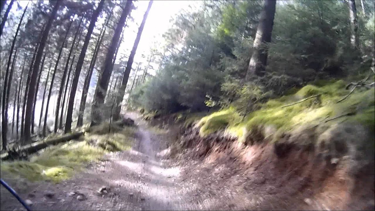 Whinlatter north loop biking experience