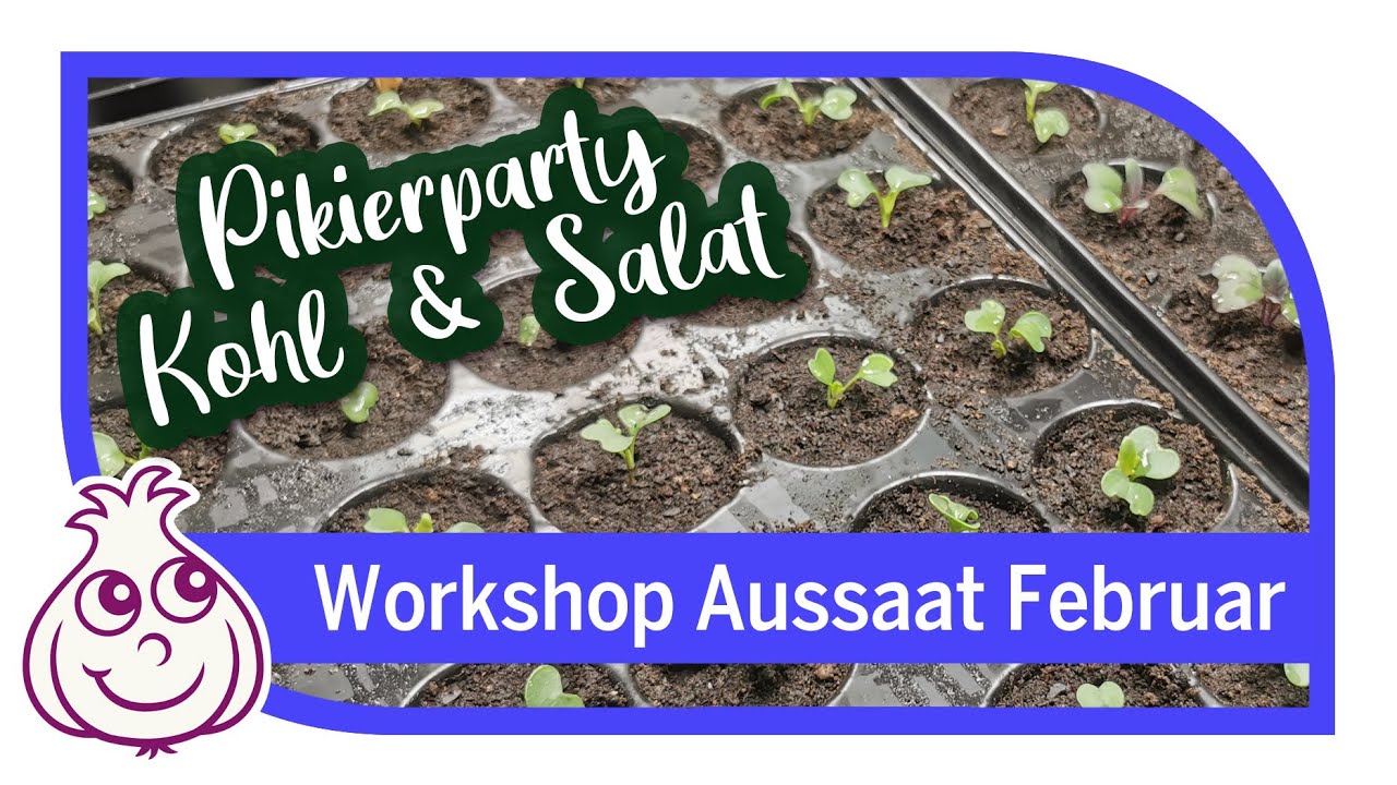 Erste Aussaaten im Februar | Gemüseanbau Workshop Aussaat Teil 4