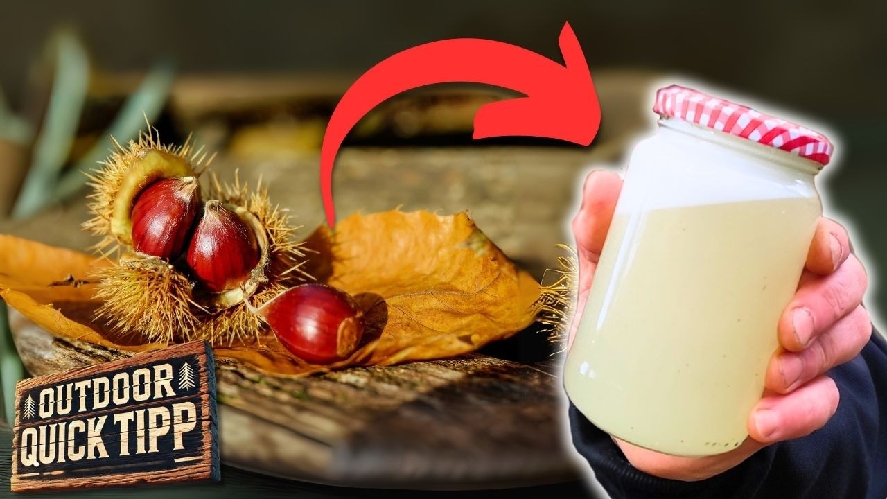Kastanienseife selber machen &ndash; Einfache Anleitung f&uuml;r nat&uuml;rliche Seife!💡 Outdoor Quick Tipp 💡