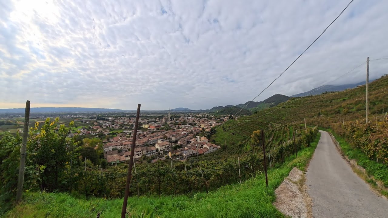 Road Trip through the Prosecco Hills: CastelBrando & Wine Road