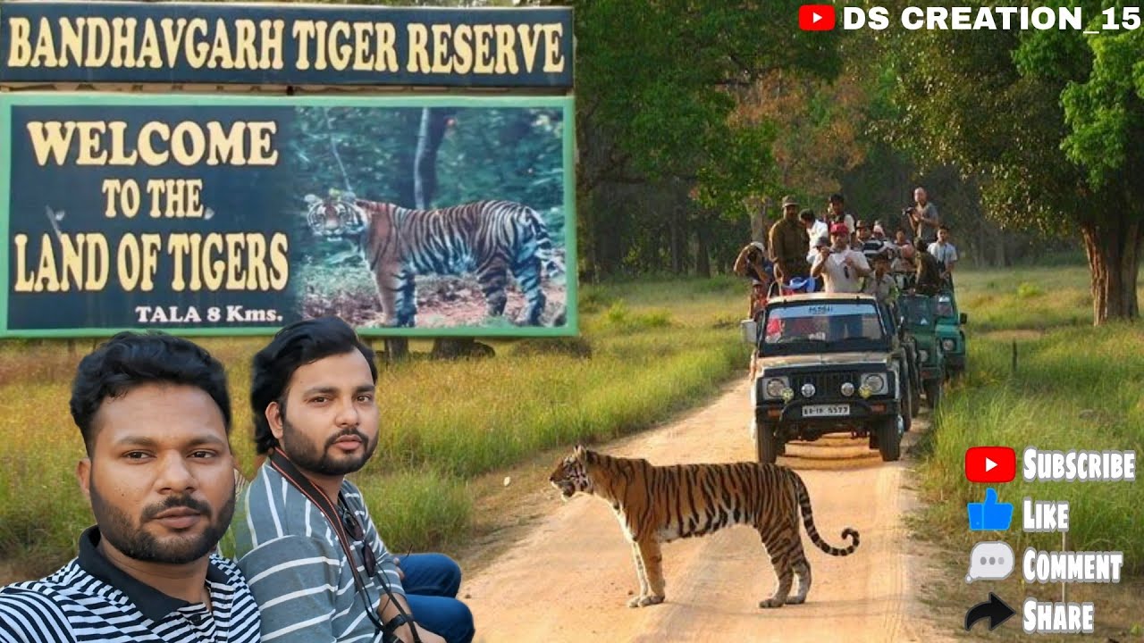 Bandhavgarh National Park 🏞️ | Umaria | Madhya Pradesh #bhandhavgarh #india #umaria